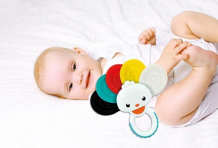 RAINBOW PEACOCK RATTLE - Image 4