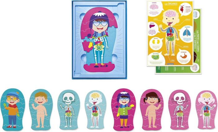 The Human Body - Image 3