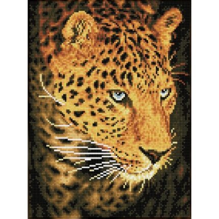 Leopard portrait