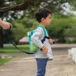 Dreambaby Walk-With-Me Toddler Backpack & Reins – Dinosaur