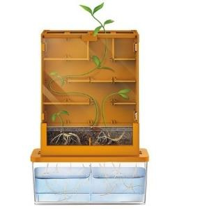 4M Green Science - GROW-A-MAZE