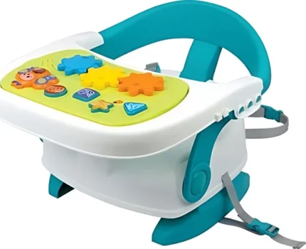 Winfun 3-in-1 Musical Booster Seat