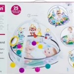 Winfun PlaySpace Play Gym and Ball Pit