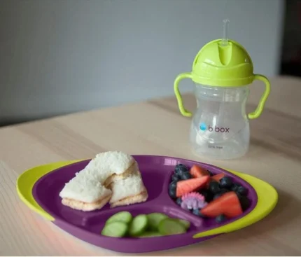 b.box Toddler Divided Plate – Passion Splash