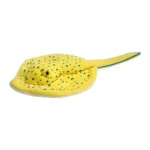 Wild Planet All About Nature Blue Spotted Stingray Plush Toy