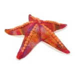 Wild Planet All About Nature Starfish Plush Toy – Realistic Sea Star